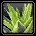 Aloe