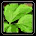Honest Leaf
