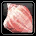Jaden Conch