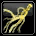 Ginseng sauvage