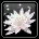 Heaven Lotus