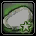 Oyster Dream +1
