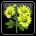 甘菊花