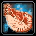 Parrot Conch