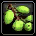 Fruit sauvage