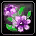 伤心花