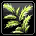 Plant de riz