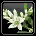 无名花