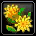 Gelbschön-Blume