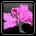 Hemerocallis violette