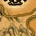 Dragon Bay Map Fragment