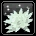 Snow Lotus