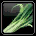 Scallion