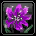 Gorthan Flower