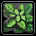 Ripened Cela Grass