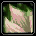 Graphic Title: Pure Lotus