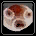 Rain Pebble