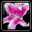 Perfume Lily