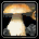 Bolete