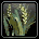 Wild Oats